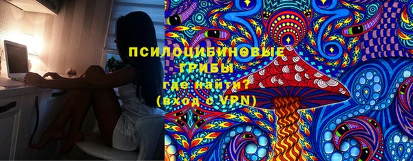MDMA Богородицк