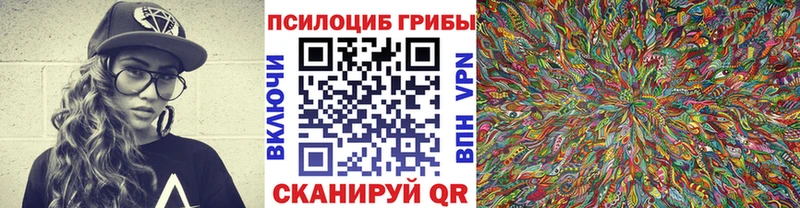 Галлюциногенные грибы ЛСД  где купить   Губаха 